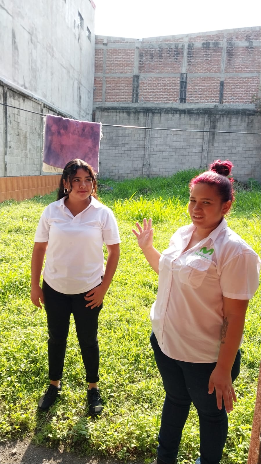 Descripción de la imagen 4