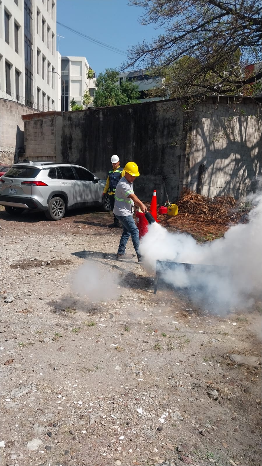 Descripción de la imagen 3