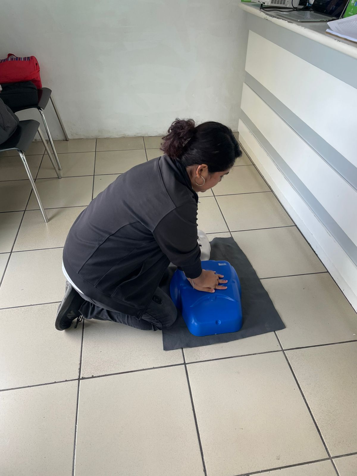 Descripción de la imagen 3