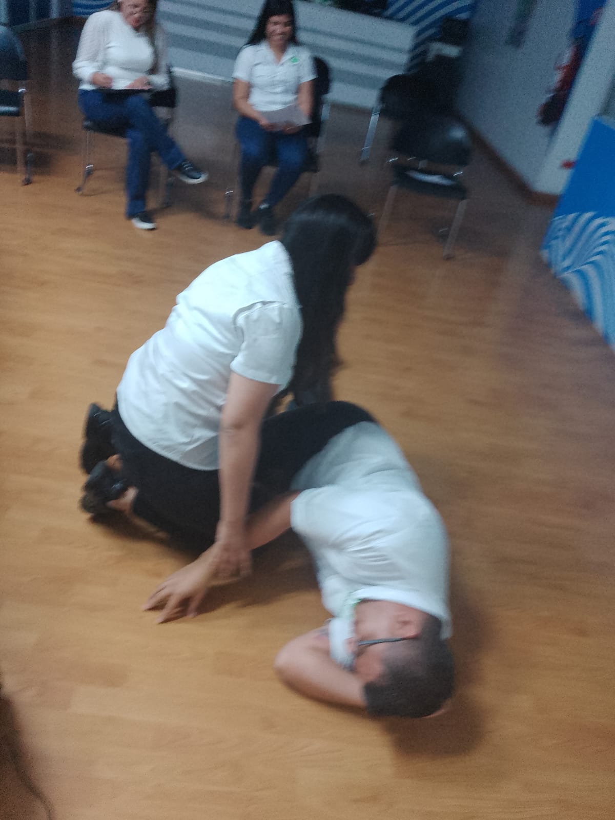 Descripción de la imagen 2