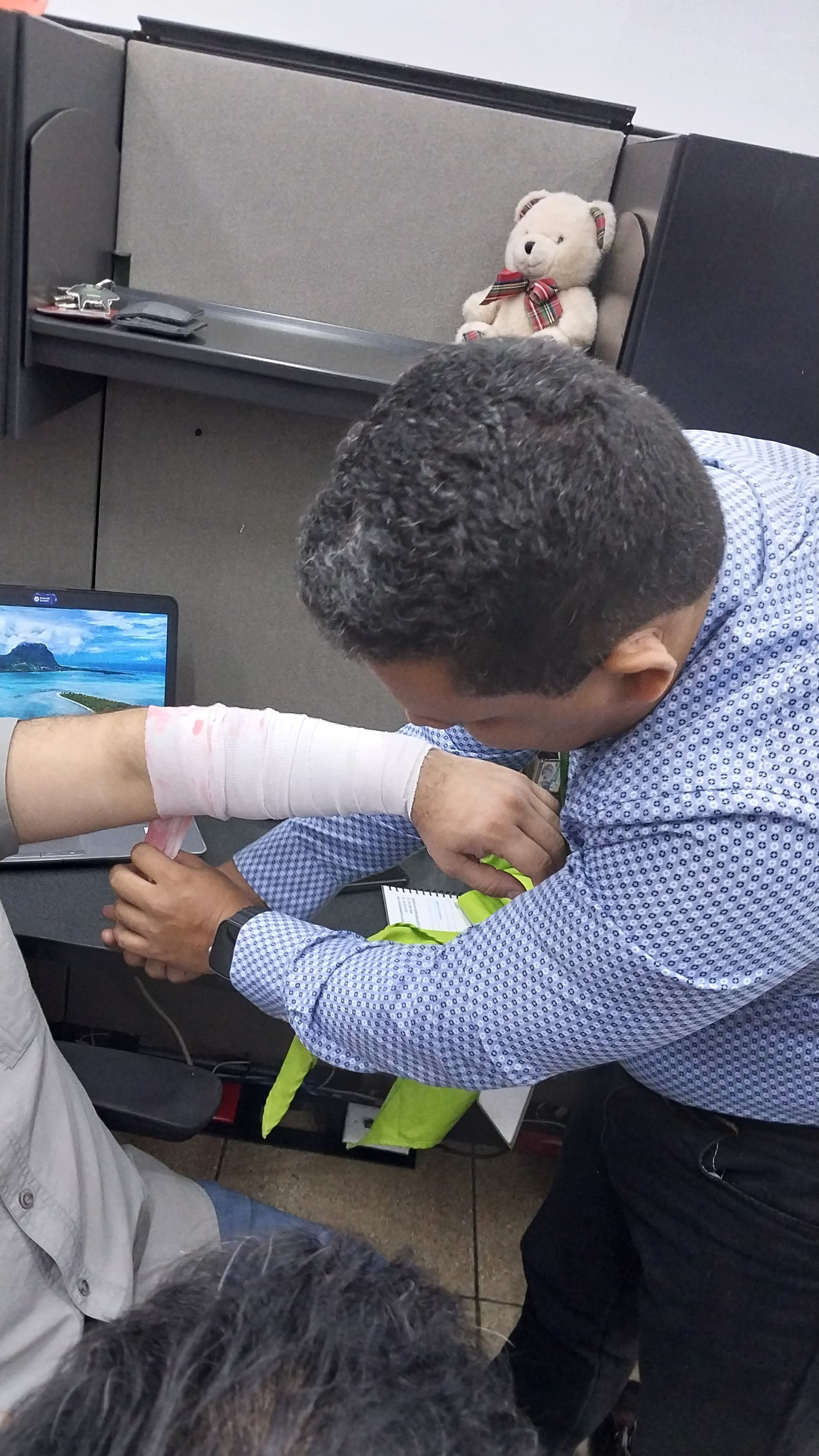 Descripción de la imagen 2