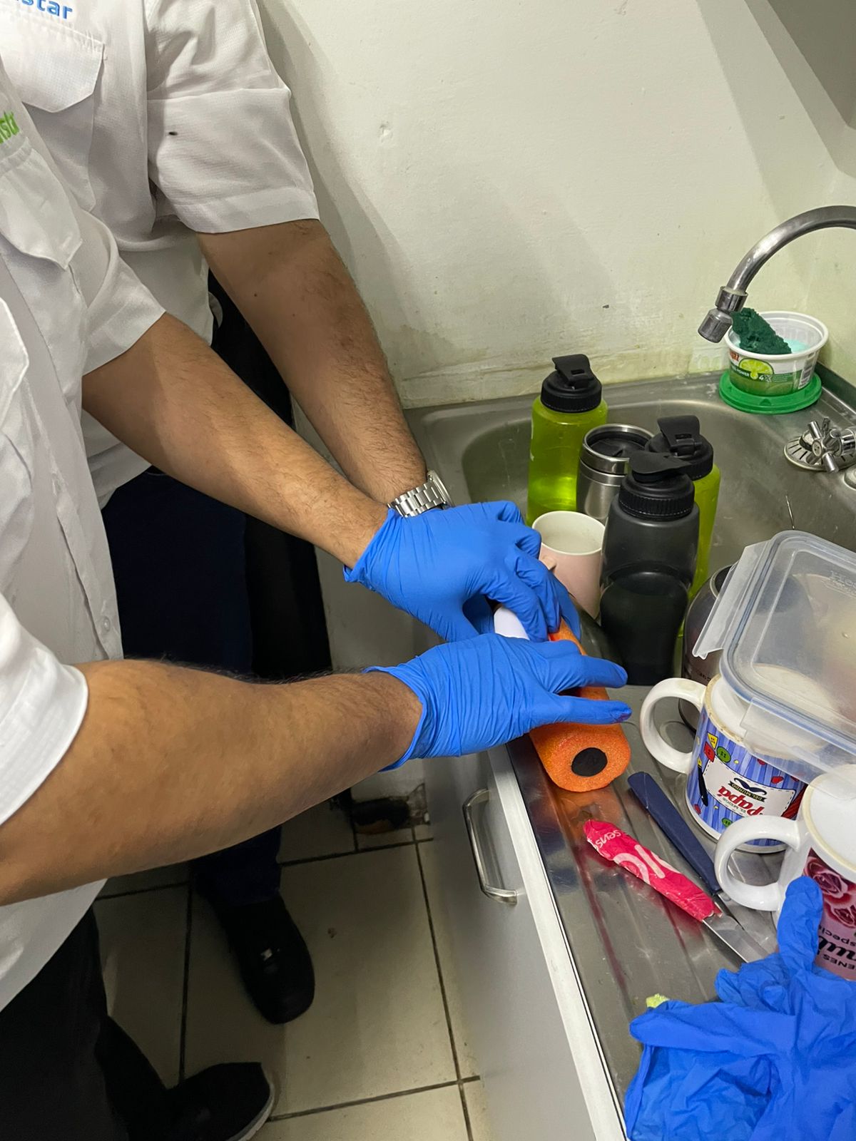 Descripción de la imagen 1