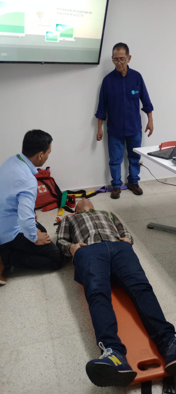 Descripción de la imagen 2