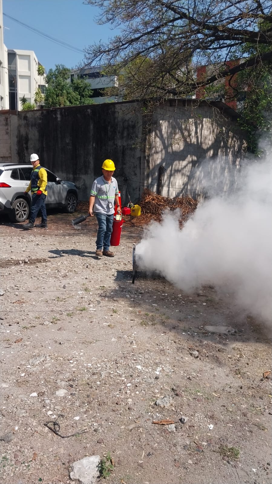 Descripción de la imagen 2