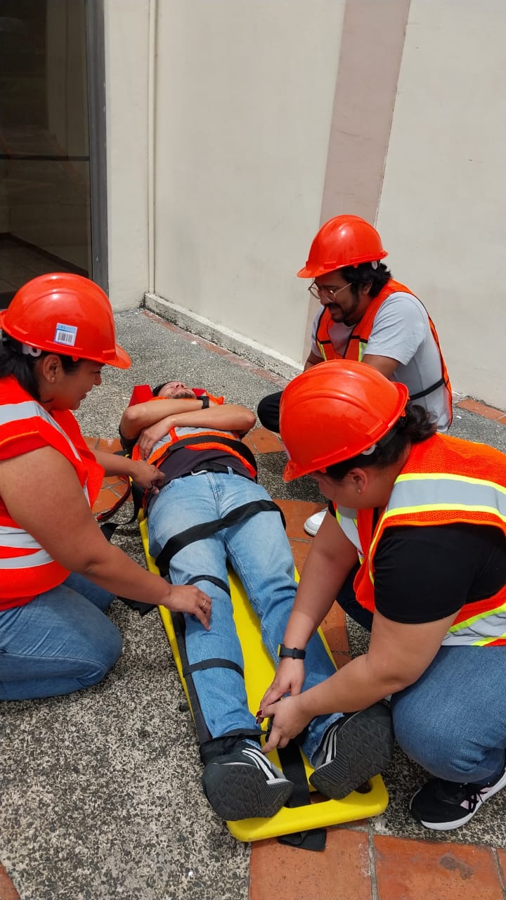 Descripción de la imagen 2