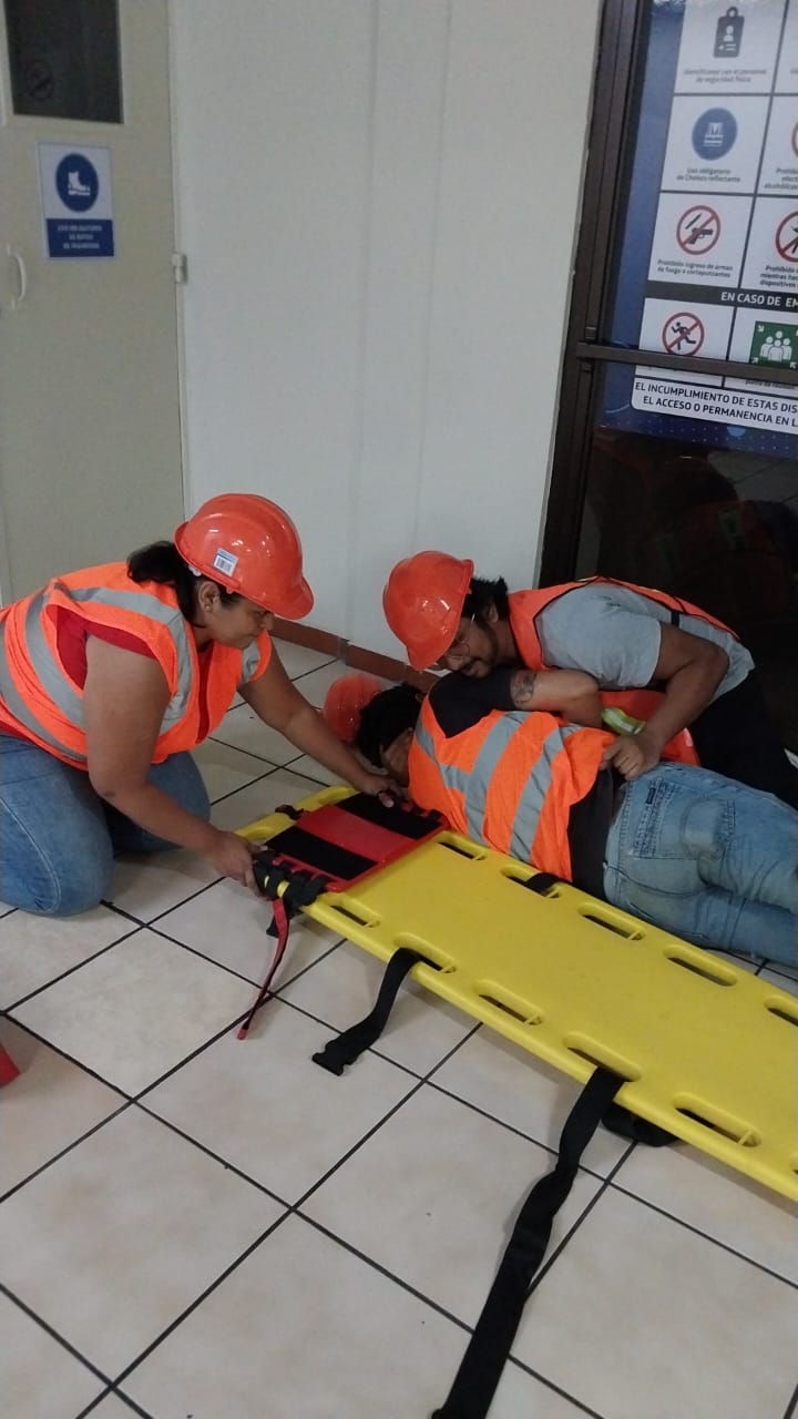 Descripción de la imagen 2